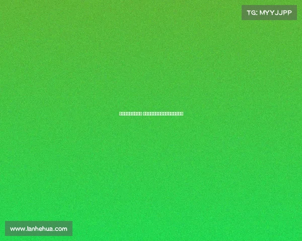 德甲新赛季风云再起 多支豪门球队争夺冠军宝座战况激烈